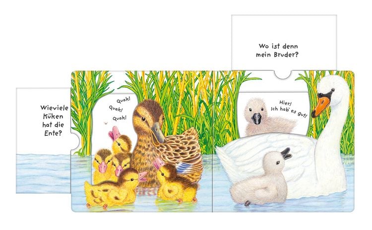 Produktbild: Tierkinder, wo seid ihr?