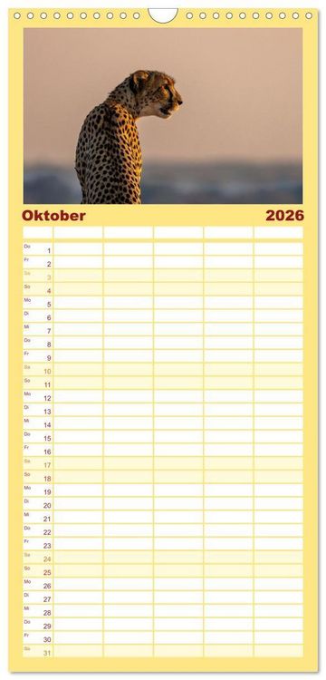 Produktbild: Familienplaner 2026 - Komm mit auf Safari! Botswana und S&uuml;dafrika mit 5 Spalten (Wandkalender, 21 x 45 cm) CALVENDO
