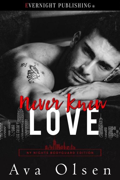 Produktbild: Never Knew Love