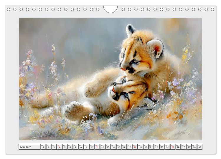 Produktbild: Bergl&ouml;wen. Kraftvolle Eleganz der Wildnis (Wandkalender 2027 DIN A4 quer), CALVENDO Monatskalender
