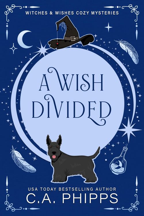 Produktbild: A Wish Divided