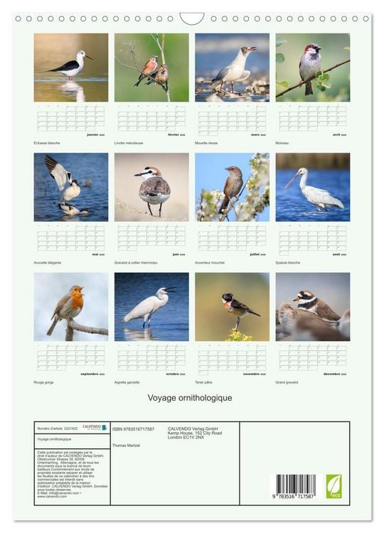 Produktbild: Voyage ornithologique (Calendrier mural 2026 DIN A3 horizontal), CALVENDO calendrier mensuel