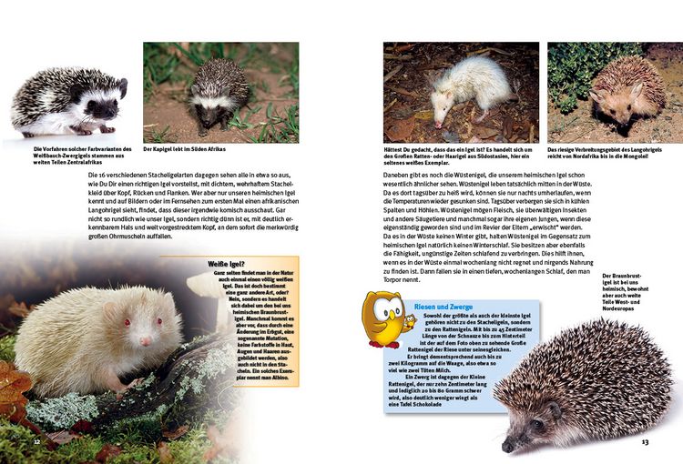 Produktbild: Entdecke die Igel