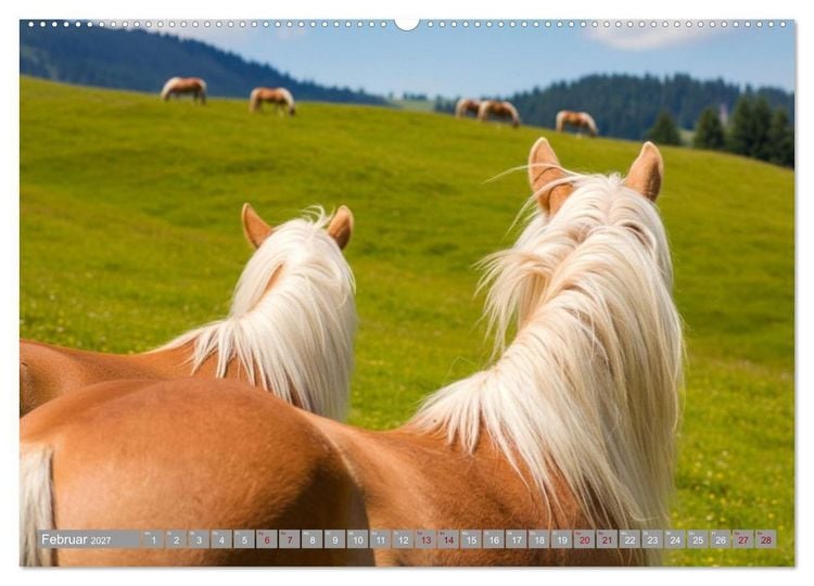 Produktbild: Alpent&auml;ler und Haflinger Pferde (Wandkalender 2027 DIN A2 quer), CALVENDO Monatskalender