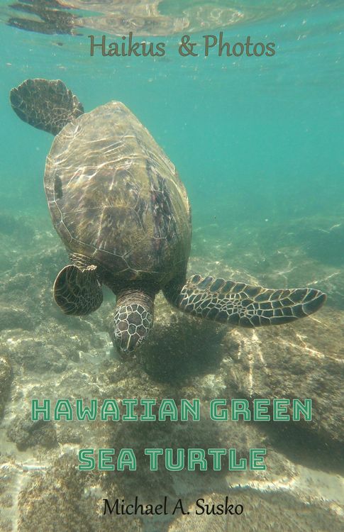 Produktbild: Haikus and Photos: Hawaiian Green Sea Turtle (Nature Haikus & Photos, #4)