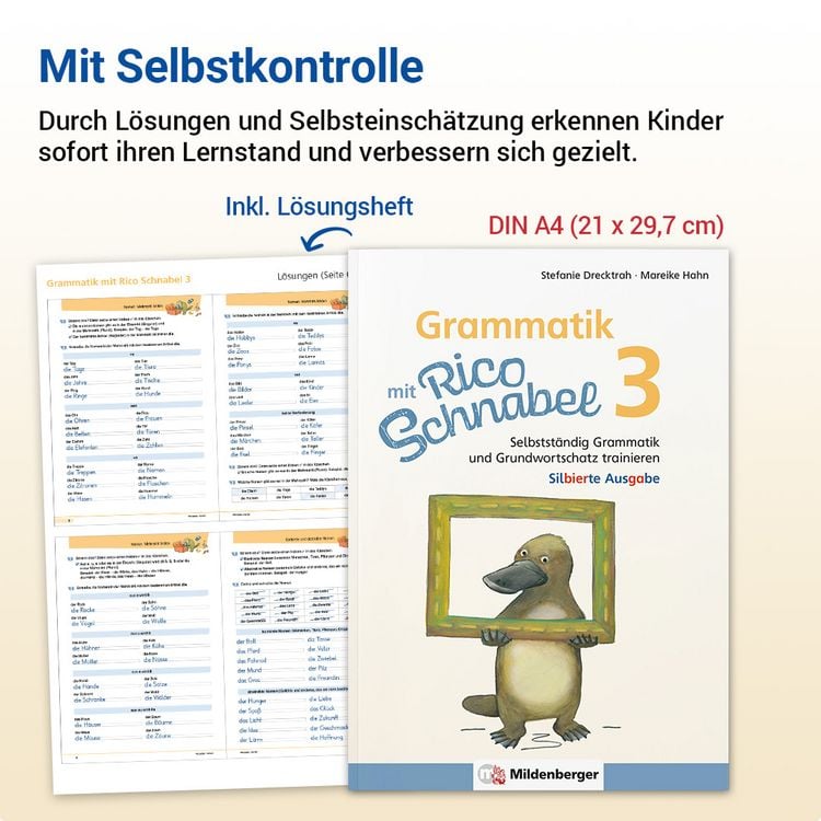 Produktbild: Grammatik mit Rico Schnabel, Klasse 3 - silbierte Ausgabe