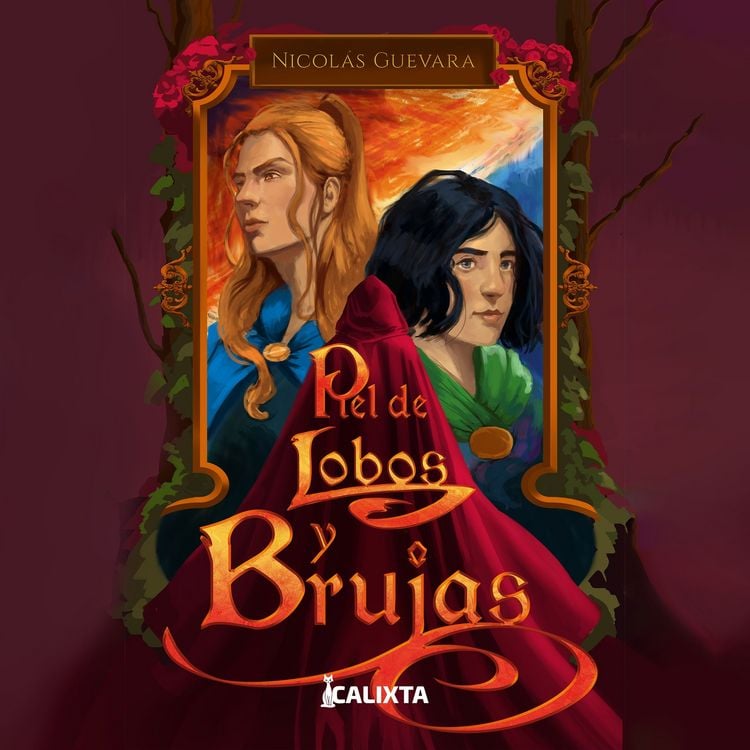 Produktbild: Piel de lobos y brujas