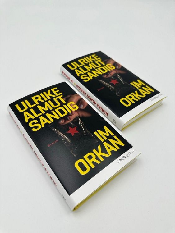 Produktbild: Im Orkan