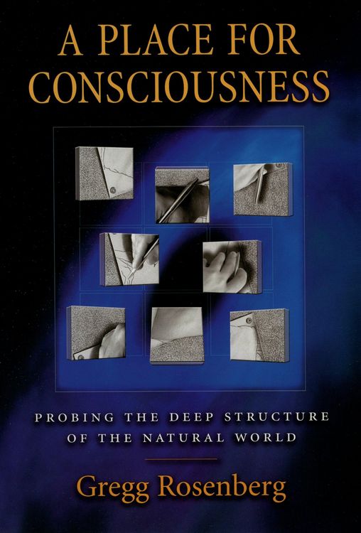 Produktbild: A Place for Consciousness