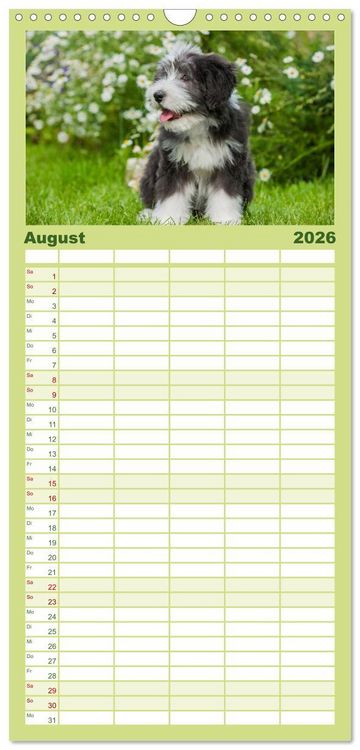 Produktbild: Familienplaner 2026 - Welpen 2026 mit 5 Spalten (Wandkalender, 21 x 45 cm) CALVENDO