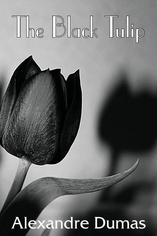 Produktbild: The Black Tulip