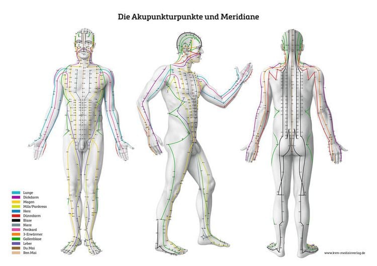 Produktbild: Lernposter &ndash; Die Akupunkturpunkte und Meridiane