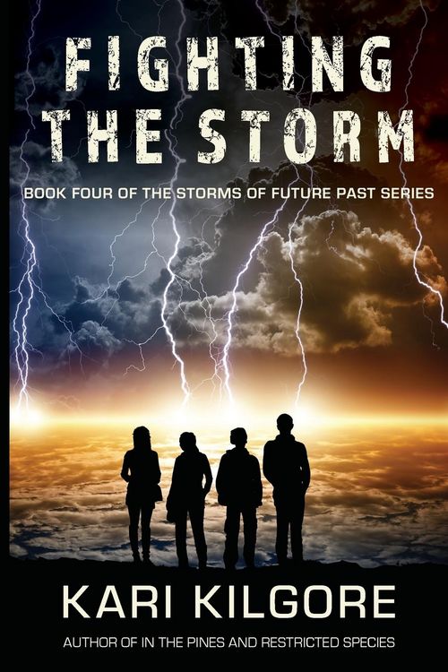 Produktbild: Fighting the Storm