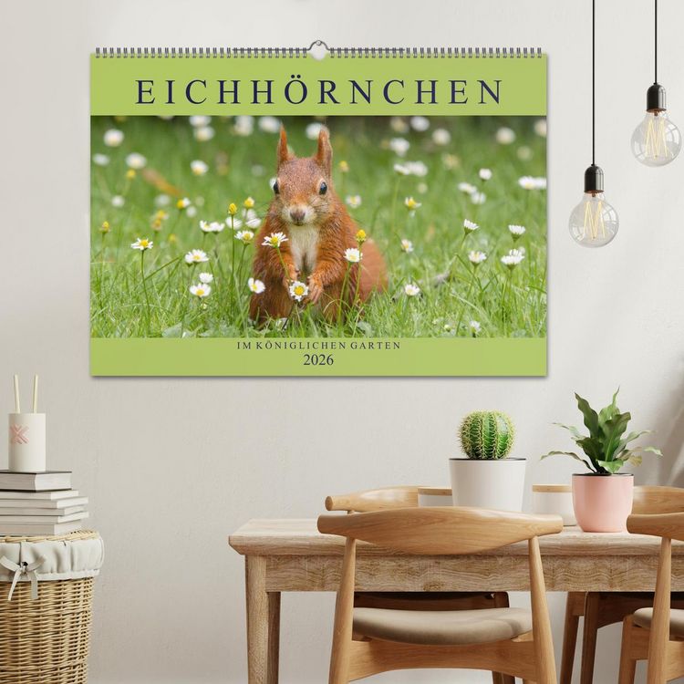Produktbild: Eichh&ouml;rnchen im K&ouml;niglichen Garten (Wandkalender 2026 DIN A2 quer), CALVENDO Monatskalender