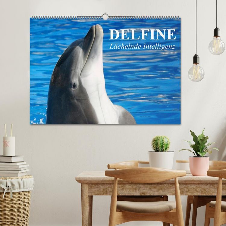 Produktbild: Delfine - L&auml;chelnde Intelligenz (Wandkalender 2026 DIN A2 quer), CALVENDO Monatskalender