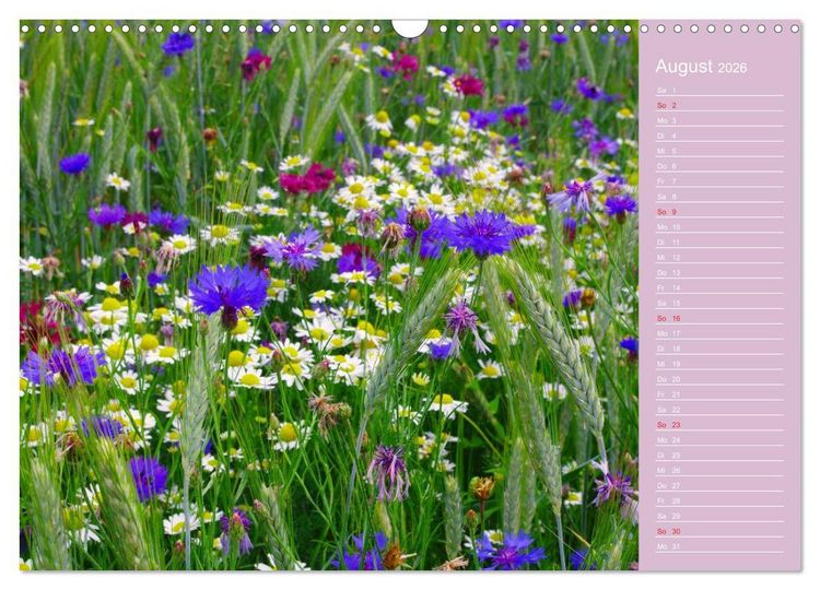 Produktbild: Blumenfreude (Wandkalender 2026 DIN A3 quer), CALVENDO Monatskalender