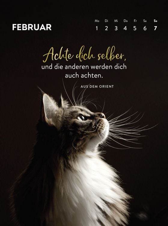 Produktbild: Wochenkalender 2027: Goldene Katzenweisheiten f&uuml;r jeden Tag