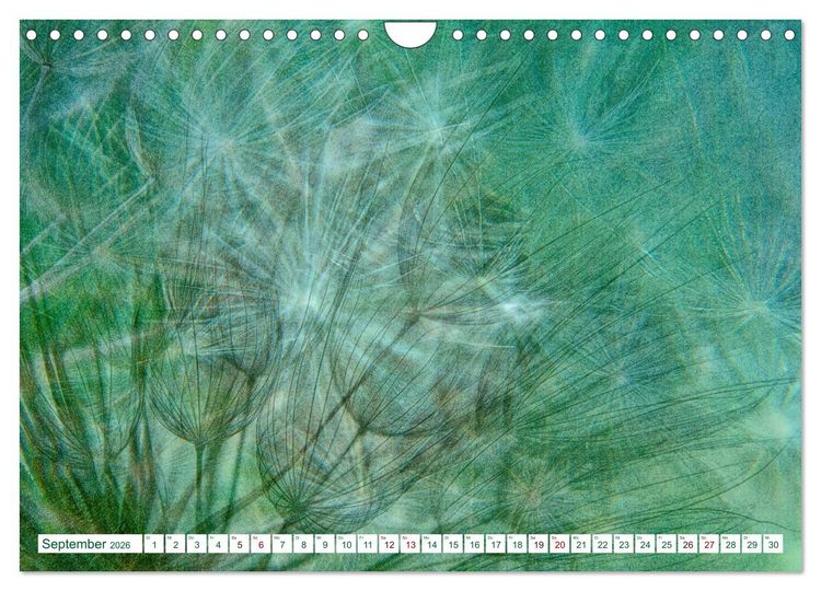 Produktbild: GR&Uuml;N . Die Kraft der Natur (Wandkalender 2026 DIN A4 quer), CALVENDO Monatskalender