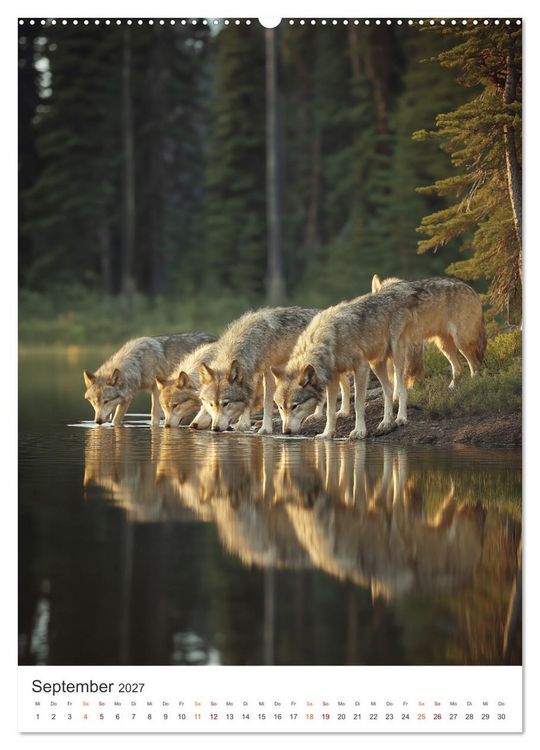 Produktbild: K&ouml;nige der Natur (hochwertiger Premium Wandkalender 2027 DIN A2 hoch), Kunstdruck in Hochglanz