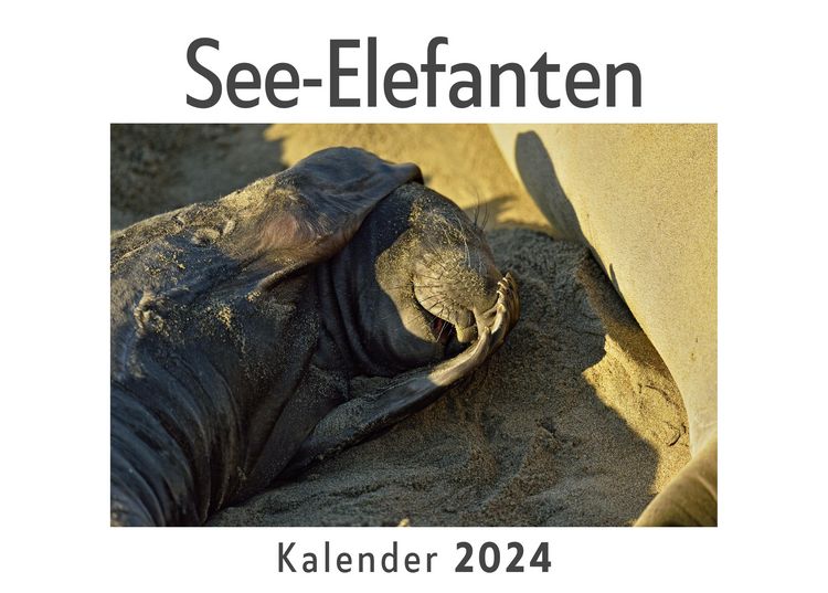 Produktbild: See-Elefanten (Wandkalender 2024, Kalender DIN A4 quer, Monatskalender im Querformat mit Kalendarium, Das perfekte Geschenk)