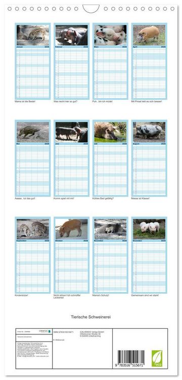 Produktbild: Familienplaner 2026 - Tierische Schweinerei mit 5 Spalten (Wandkalender, 21 x 45 cm) CALVENDO
