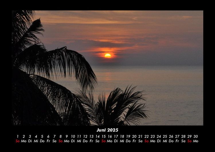 Produktbild: Palmentraum 2025 Fotokalender DIN A3