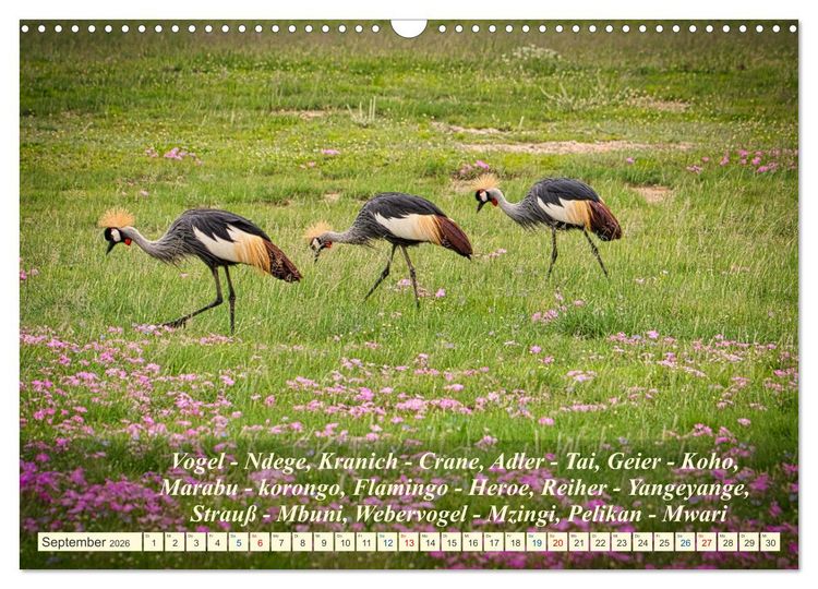 Produktbild: Jambo Kenya (Wandkalender 2026 DIN A3 quer), CALVENDO Monatskalender