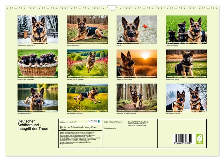 Produktbild: Deutscher Sch&auml;ferhund - Inbegriff der Treue (Wandkalender 2026 DIN A3 quer), CALVENDO Monatskalender