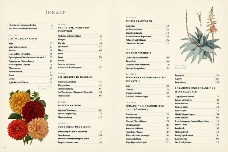 Produktbild: Botanik f&uuml;r G&auml;rtner