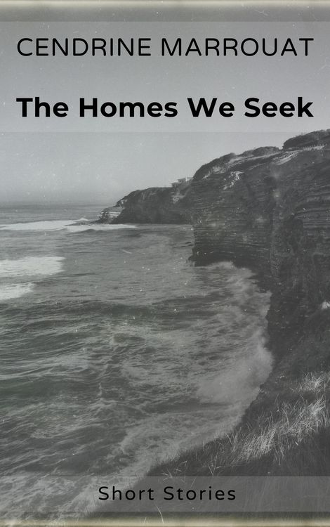 Produktbild: The Homes We Seek