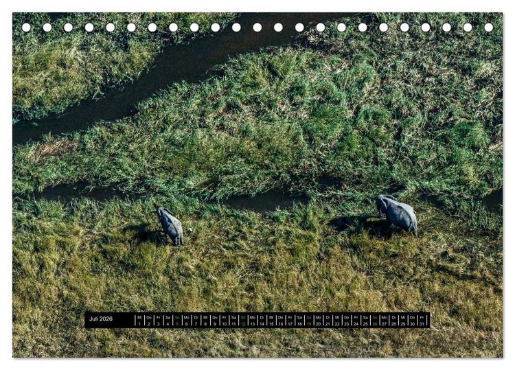 Produktbild: Afrikas Tierwelt - Wilde Elefanten (Tischkalender 2026 DIN A5 quer), CALVENDO Monatskalender