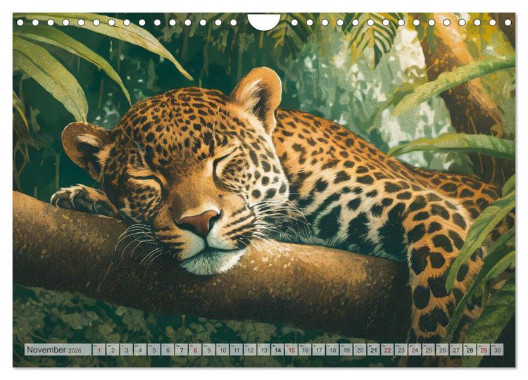 Produktbild: Nope - Heute Nicht (Wandkalender 2026 DIN A4 quer), CALVENDO Monatskalender