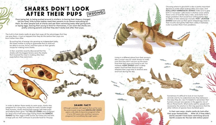 Produktbild: Everything You Know about Sharks Is Wrong!