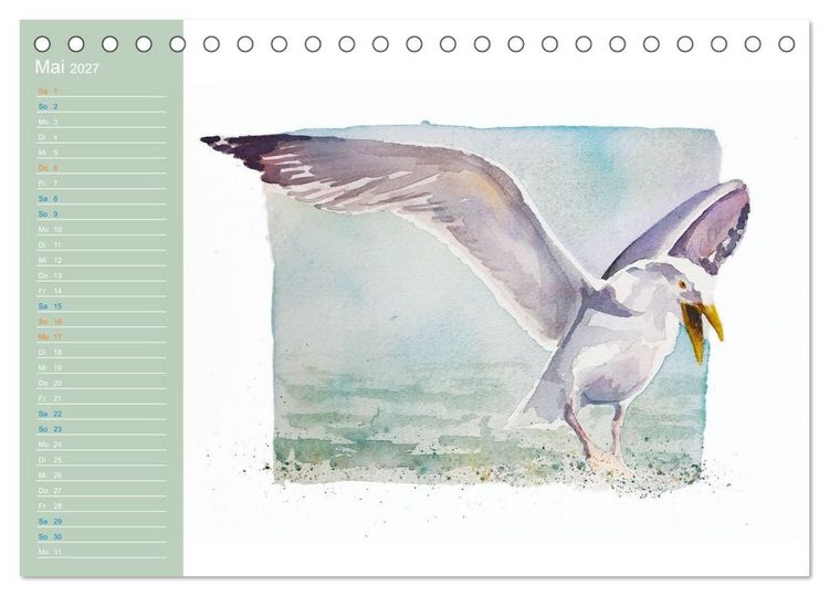 Produktbild: M&ouml;wen - Aquarelle von Julia Pasinski (Tischkalender 2027 DIN A5 quer), CALVENDO Monatskalender