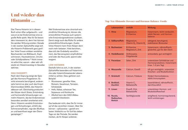 Produktbild: Der Endometriose-Balance-Plan