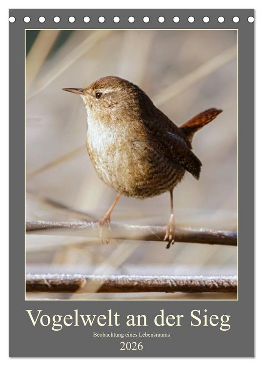 Produktbild: Vogelwelt an der Sieg (Tischkalender 2026 DIN A5 hoch), CALVENDO Monatskalender