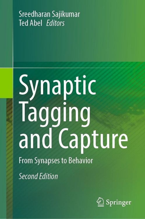 Produktbild: Synaptic Tagging and Capture