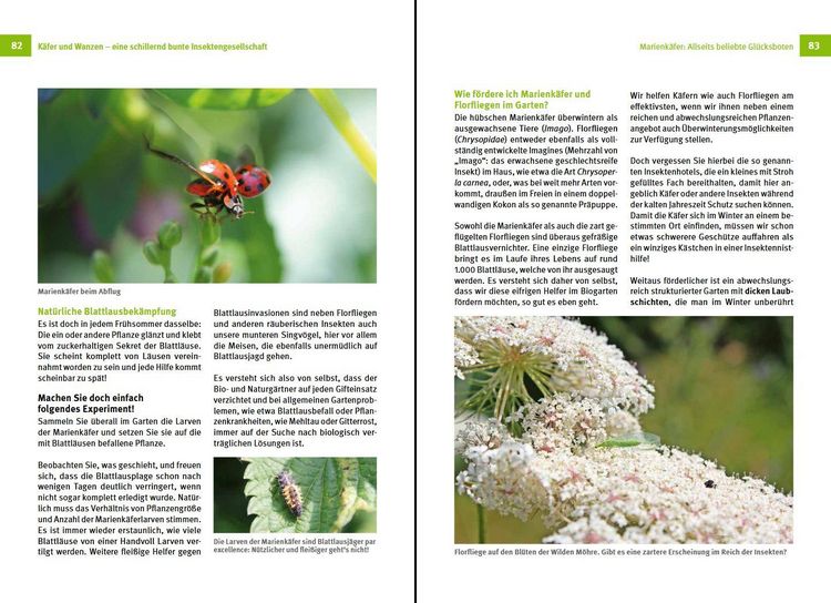 Produktbild: N&uuml;tzlinge im Garten f&ouml;rdern