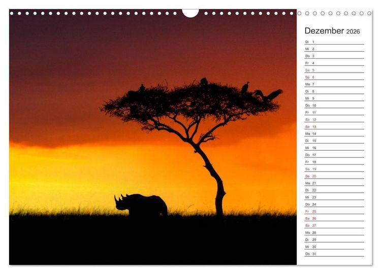 Produktbild: Emotionale Momente: Nash&ouml;rner (Wandkalender 2026 DIN A3 quer), CALVENDO Monatskalender