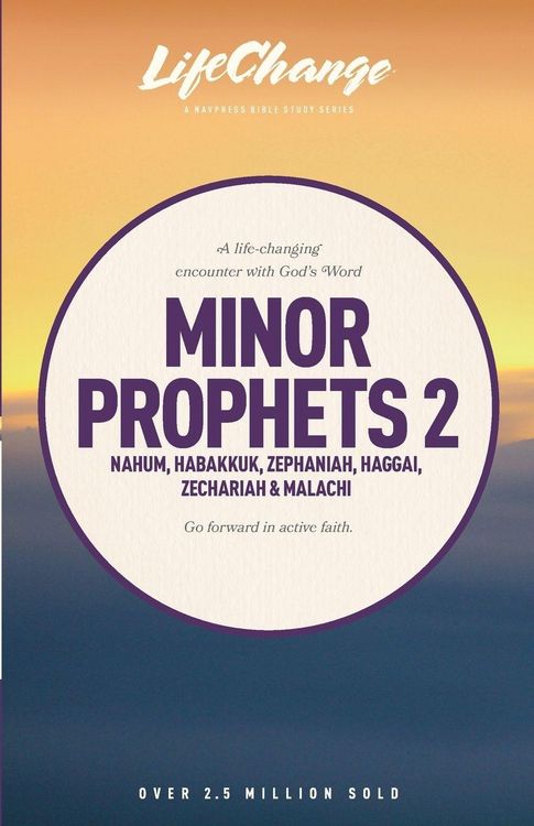 Produktbild: Minor Prophets 2