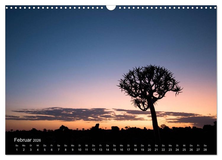 Produktbild: Astrein! - Der Baumkalender 2026 (Wandkalender 2026 DIN A3 quer), CALVENDO Monatskalender