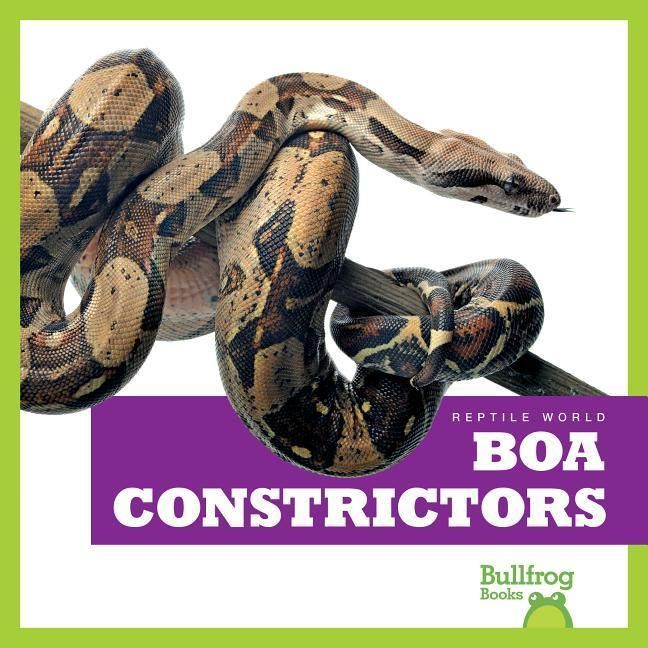 Produktbild: Boa Constrictors