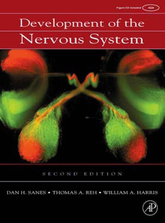 Produktbild: Development of the Nervous System