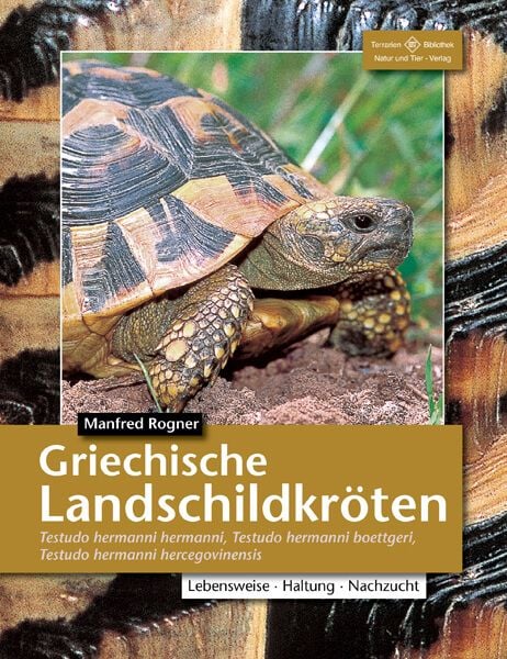 Produktbild: Griechische Landschildkr&ouml;ten