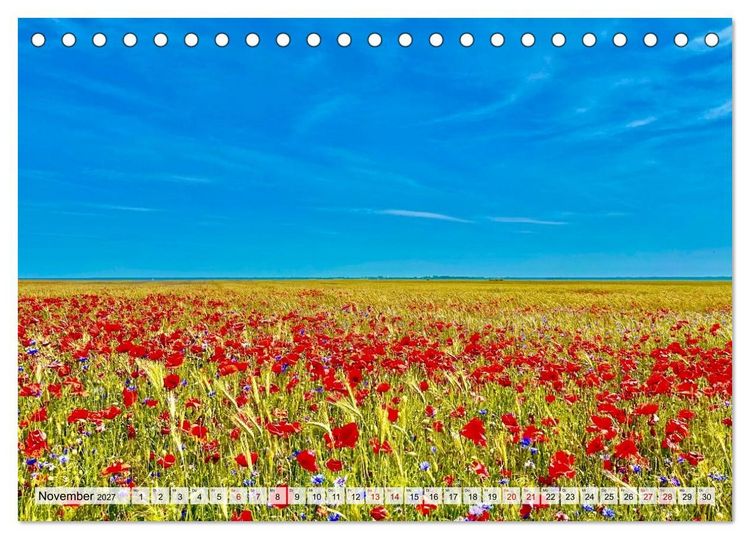 Produktbild: Fischland: zwischen Ostsee und Bodden (Tischkalender 2027 DIN A5 quer), CALVENDO Monatskalender