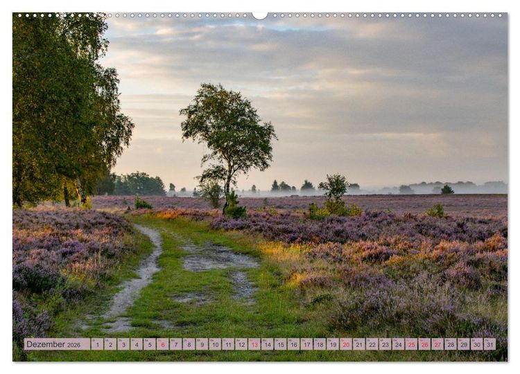 Produktbild: Wunderbare Heidelandschaften (hochwertiger Premium Wandkalender 2026 DIN A2 quer), Kunstdruck in Hochglanz