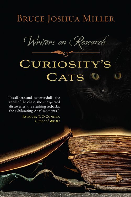 Produktbild: Curiosity's Cats