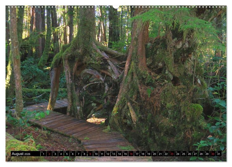Produktbild: Vancouver - Vancouver Island - Seattle (Wandkalender 2026 DIN A2 quer), CALVENDO Monatskalender