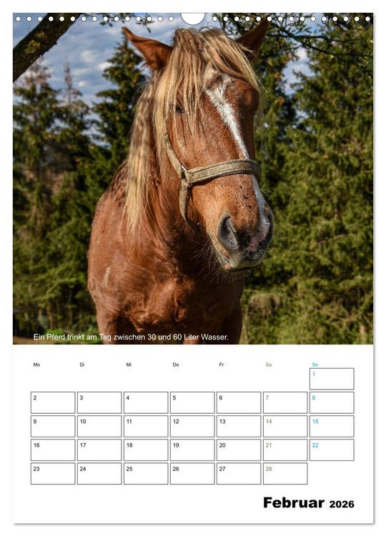 Produktbild: Liebenswerte Landtiere (Wandkalender 2026 DIN A3 hoch), CALVENDO Monatskalender