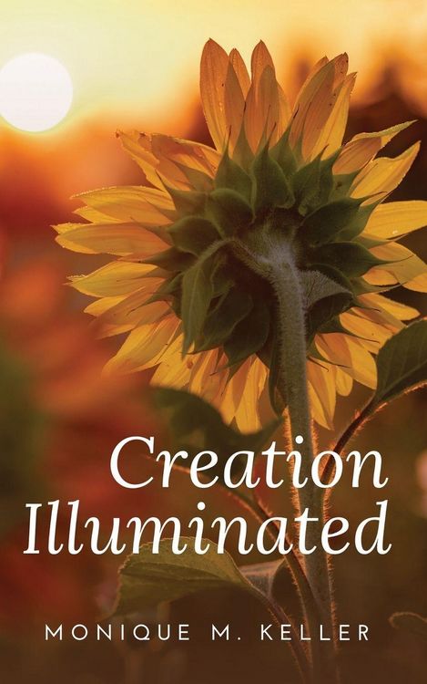 Produktbild: Creation Illuminated